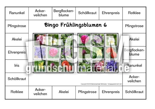 Bingo-Frühlingsblüten-6.pdf